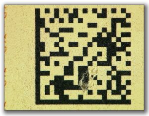 BEL-GO-01002 - 
<Recto &ndash; identit&agrave;> - Dati elettronici
