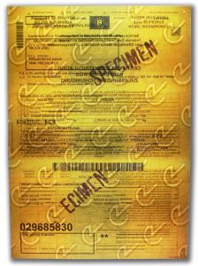 BEL-GO-01002 - 
<Recto &ndash; identit&agrave;> - Filigrana