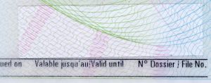 BEL-HD-01002 - 
<Předn&iacute; strana - totožnost> - F&oacute;lie