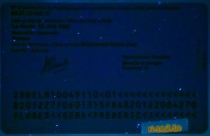 BEL-HO-04002 - 
<Verso> - Element UV