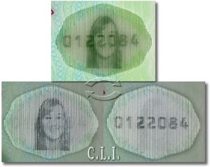 BEL-HO-07002 - 
<Předn&iacute; strana - totožnost> - OVD - opticky proměnliv&yacute; prvek