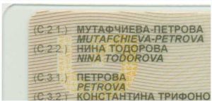 BGR-GO-02002 - 
<Recto - identit&agrave;> - Pellikola