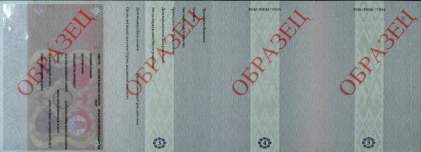 BLR-EP-02001 - 
<Recto &ndash; identit&agrave;>
                