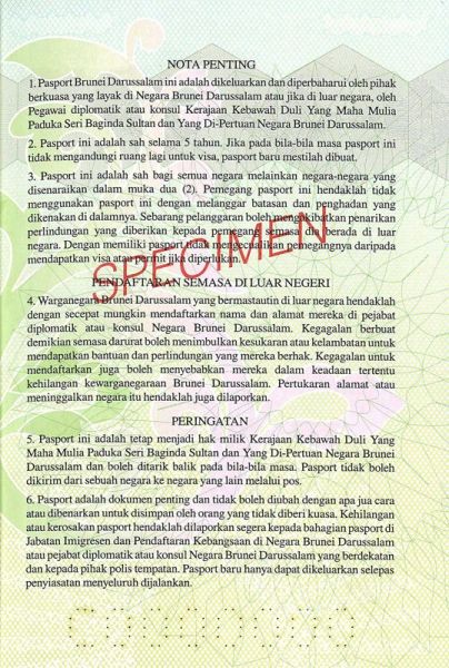 BRN-AD-02001 - 
<Qoxra &ndash; ta' wara, minn ġewwa>
                