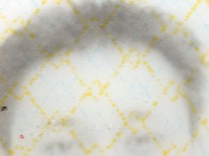BRN-AS-02001 - 
<Tessera integrata con dati anagrafici - recto (identit&agrave;)> - Immagine del volto