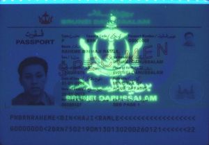 BRN-AS-02001 - 
<Kard tal-bijodata integrata - recto (identit&agrave;)> - Element UV
