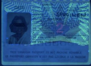 CAN-AD-01001 - 
<Paġna tal-bijodata> - Element UV