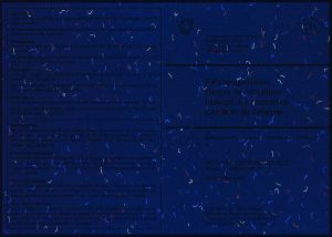CHE-GO-01005 - 
<Verso> - Elemento UV