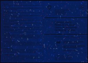 CHE-GO-01007 - 
<Verso> - Elemento UV