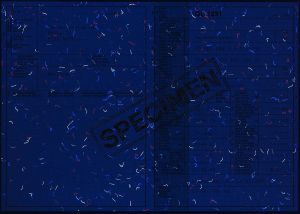 CHE-GO-01009 - 
<Recto - identit&agrave;> - Element UV
