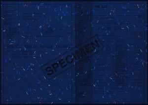 CHE-GO-01014 - 
<Recto &ndash; identit&agrave;> - Elemento UV