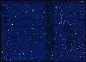 CHE-GO-01021 - 
<Recto &ndash; identit&agrave;> - Elemento UV
