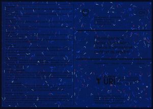 CHE-GO-01021 - 
<Verso> - Element UV