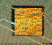 Image 161246 of OVD (optically variable device)