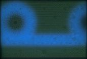 Image 41826 of Element UV