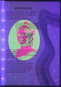 CZE-AS-04001 - 
<Qoxra &ndash; ta' wara, minn ġewwa> - Element UV