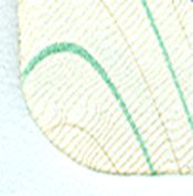 DNK-AD-01001 - 
<Pagina dei dati anagrafici> - Supporto