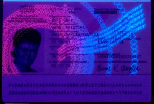DNK-AD-03001 - 
<Kard tal-bijodata integrata - recto (identit&agrave;)> - Element UV