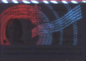 DNK-AD-05001 - 
<Kard tal-bijodata integrata - recto (identit&agrave;)> - Element UV