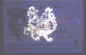 DNK-AO-02002 - 
<Kard tal-bijodata integrata - recto (identit&agrave;)> - Element UV