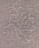 Image 45563 of Watermark