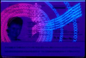DNK-JO-03001 - 
<Kard tal-bijodata integrata - recto (identit&agrave;)> - Element UV