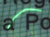 Image 131178 of Zabezpieczenie widoczne w promieniowaniu UV