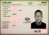 Image 68706 of Recto - identity
