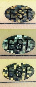 EST-FO-01003 - 
<Vorderseite - Identit&auml;t> - OVD - optisch variables Element