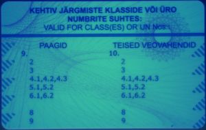 EST-FY-01002 - 
<Verso> - Element UV