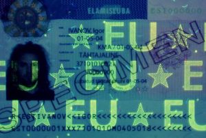 EST-HO-04001 - 
<Recto - identit&agrave;> - Element UV