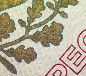 EST-IO-01004 - 
<Qoxra &ndash; ta' quddiem, minn ġewwa> - Sottostrat