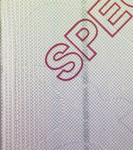 EST-IO-03001 - 
<Retrocopertina, lato interno> - Supporto