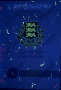 EST-JO-03002 - 
<Qoxra &ndash; ta' wara, minn ġewwa> - Element UV