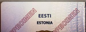 EST-JO-04002 - 
<Qoxra &ndash; ta' quddiem, minn ġewwa> - Sottostrat