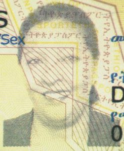 ETH-AO-02001 - 
<Paġna tal-bijodata> - Leħor