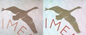 Image 184604 of Printing technique