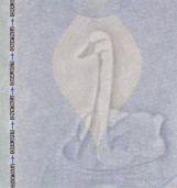 Image 57019 of Watermark
