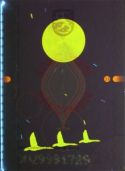 Image 57022 of UV feature