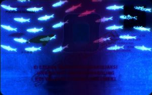 FIN-BO-12003 - 
<Zadn&iacute; strana > - Jištěn&iacute; v UV světle
