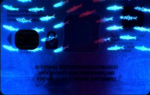 FIN-BO-12004 - 
<Verso> - Element UV