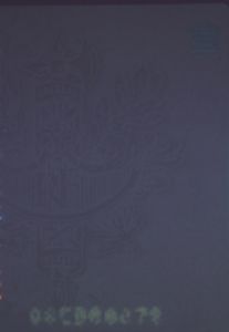 FRA-AD-02001 - 
<Qoxra &ndash; ta' wara, minn ġewwa> - Element UV