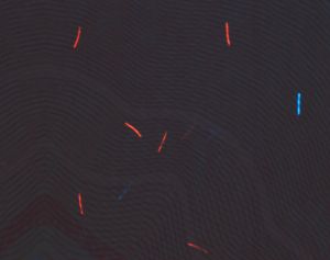 FRA-AO-01002 - 
<Vnitřn&iacute; strana (strany)> - Jištěn&iacute; v UV světle