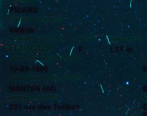 FRA-AP-01001 - 
<Paġna tal-bijodata> - Element UV