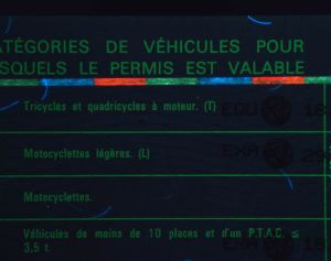 FRA-FO-04001 - 
<Recto - identit&agrave;> - Element UV
