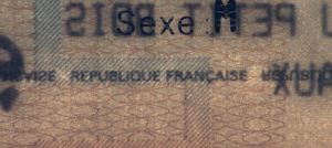 FRA-HO-01002 - 
<Recto - identity> - Substrate