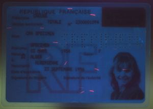 FRA-HO-02001 - 
<Recto - identit&agrave;> - Element UV