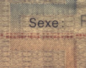 FRA-HO-04001 - 
<Recto - identit&agrave;> - Sottostrat