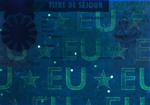 FRA-HO-07001 - 
<Recto - identit&agrave;> - Element UV