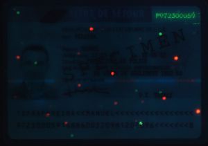 FRA-HO-08001 - 
<Recto - identit&agrave;> - Element UV